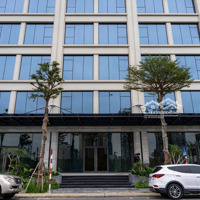 Em Có Shophouse Diện Tích 170M2 (Duy Nhất 2 Căn)