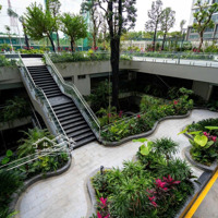 Em Có Shophouse Diện Tích 170M2 (Duy Nhất 2 Căn)