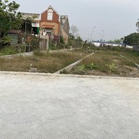 Bán Đấtdiện Tích370M2 Tại Đt 360, Quang Hưng, An Lão, Hải Phòng, Giá Cực Chất 1,Òng, Giá Cực Chất 1,3 Tỷ