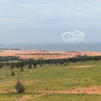 Bán Nhanh Lô 2630M2 Gần Biển Hòa Thắng Đường Đôi Bàu Trắng, Đường Oto Vào Tận Nơi Giá Chỉ 500 Triệu