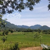 Bán Đất Thổ Cư Tại Xã Tú Lý, Đà Bắc, Hòa Bình