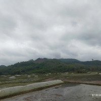 Bán Đất Thổ Cư Tại Xã Tú Lý, Đà Bắc, Hòa Bình