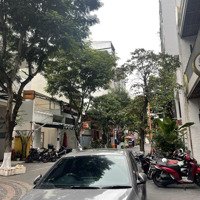 Cho Thuê Nhà Khu An Thượng Phố Tấy Ngang 8M