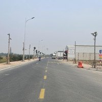 Bán Cắt Lỗ 1 Lô Mặt Đường 303 Dự Án Ccn Làng Nghề Minh Phương-Yên Lạc