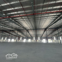 Cho Thuê Nhà Xưởng Mới Xây 920M Tại Hòa Vang Đường Xe Container, Giá Ưu Đãi Chỉ 42 Triệu/Tháng