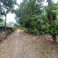 Chính Chủ Gửi Bán Lô Đất Diện Tích:622M Thổ Cư 150M Mặt Tiền 10,90 Nở Hậu Tại Vân Hoà Ba Vì Hà Nội