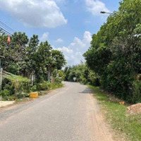 Bán Đất Gần Sân Bay Quốc Tế Long Thành 130M2 Tại An Phước, Đồng Nai, Giá Bán 3,25 Tỷ Shr Thổ Cư
