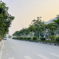 Biệt Thự 133M2 Đẹp Long Lanh, Kinh Doanh, Văn Phòng, Giá Chỉ 33,5 Tỷ, Foresa Xuân Phương.