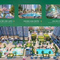 Pkd Chủ Đầu Tư Mở Bán Quỹ Căn 96M2 Đợt 1 Tầng Đẹp Giá Bán Tốt Nhất Tại Dự Án Hanoi Melody
