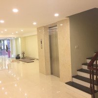Cho Thuê Nhà Mặt Phố 119 Giảng Võ, Ô Chợ Dừa: Diện Tích 88M X 8 Tầng +Hầm, Mặt Tiền 5M, Nhà Mới Xây