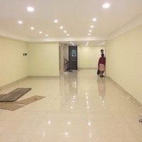 Cho Thuê Nhà Mặt Phố 119 Giảng Võ, Ô Chợ Dừa: Diện Tích 88M X 8 Tầng +Hầm, Mặt Tiền 5M, Nhà Mới Xây