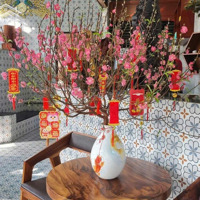 Bán Căn Nhà 4 Tầng Siêu Phẩm 2Mt Đô Đốc Lân, Hòa Xuân, Cẩm Lệ. Nhà Kinh Doanh Hiện Hữu, Kdc Sầm Uất