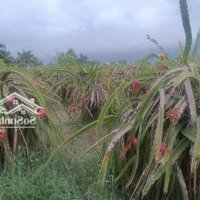 Bán Đất Thổ Cư 948M2 Giá Bán 2 Triệu / M2 Tại 712, Tân Thuận, Hàm Thuận Nam, Bình Thuận