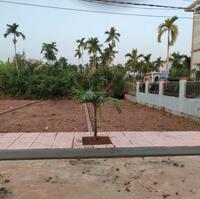 Chính chủ em bán gấp mảnh đất sát cạnh khu công nghiệp Vsip Quất Lâm Nam Định giá nhỉnh tỷ sẵn sổ hồng