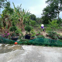 Chỉ 950 Triệu Có Ngay Lô Đất Thổ Cư Diên Lạc, Tt. Diên Khánh