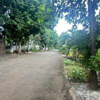  BÁN NHÀ ĐẸP MẶT TIỀN TRỤC LỘ 4 – BUÔN KY, THÀNH NHẤT, BUÔN MA THUỘT    Diện tích: 6x30m (180m²), nhà xây dựng kiên cố toàn bộ diện tích.