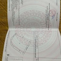 Bán Vườn Sầu Riêng 8 Năm Tuổi_ Chính Chủ