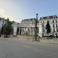 Louis Đại Mỗ Chủ Nợ Ngân Hàng Cần Bán Rất Gấp - Nhà Lô Góc 3 Mặt Thoáng Kinh Doanh Mọi Loại Hình