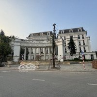 Louis Đại Mỗ Chủ Nợ Ngân Hàng Cần Bán Rất Gấp - Nhà Lô Góc 3 Mặt Thoáng Kinh Doanh Mọi Loại Hình