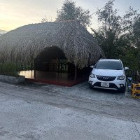 Bán Gấp Căn Nhà Vườn Tâm Huyết Lộ Ô Tô Phường Long Tuyền Quận Bình Thủy