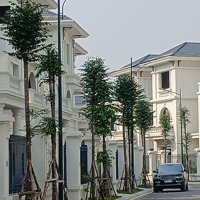 Bán Biệt Thự Vườn Cam 262M2 Hướng Tây Tứ Trạch, Rẻ, Hợp Lý