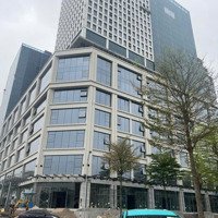 Sở Hữu Shophouse Lâu Dài, 7 Tầng (170M2 Đất, Xây 1.500M2) Tòa Mỹ Đình Pearl Giá Tốt Đợt 1 Của Cđt