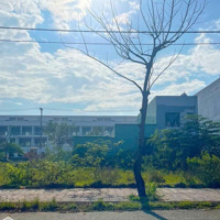 Bán Cặp Hói Kiểng 12 B2.43 Nam Hòa Xuân Đông Nam Trục Thông Song Song Minh Mạng