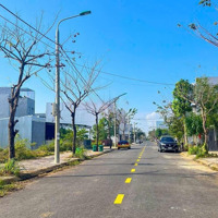 Bán Cặp Hói Kiểng 12 B2.43 Nam Hòa Xuân Đông Nam Trục Thông Song Song Minh Mạng