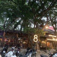 Siêu Phẩm ! Cho Thuê Mặt Bằng Kinh Doanh Phố Lý Thường Kiệt! Diện Tích 150M2, Mặt Tiền 12M