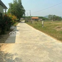 Quá Đẹp Để Đầu Tư, Hơn 3000M2 Đất Ở Ngang 95M Tại Ninh Hoà, Khánh Hoà