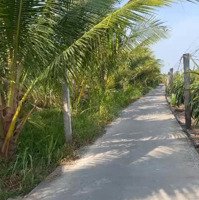 Hàng Thơm Đất Thổ Cư Đường Xe Hơi Chỉ 445 Triệu !