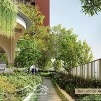 Mở Booking Căn Hộ Cao Tầng Orchard Heights - Sycamore Bình Dương