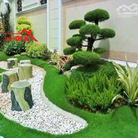 GẤP!  Bán Đất Biệt Thự Khu Phố 3, P. Trảng Dài - 650m2 Chỉ 6.5Tỷ