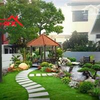 GẤP!  Bán Đất Biệt Thự Khu Phố 3, P. Trảng Dài - 650m2 Chỉ 6.5Tỷ