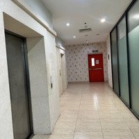 Sàn Văn Phòng Toà D2 Giảng Võ - Ba Đình- Dòng Tiền Rất Đều