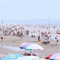 Bán Đất Biển Bãi Tắm Thịnh Long, Khu Kinh Tế Biển Ninh Cơ, Hải Hậu, Nam Định 990 Triệu