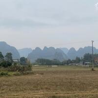  2.2TR/M2 CÓ NGAY 500M FULL THỔ CƯ TẠI LƯƠNG SƠN VIEW CÁNH ĐỒNG 500M full tc, tại Thanh Sơn, Lương Sơn