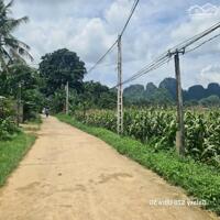  2.2TR/M2 CÓ NGAY 500M FULL THỔ CƯ TẠI LƯƠNG SƠN VIEW CÁNH ĐỒNG 500M full tc, tại Thanh Sơn, Lương Sơn