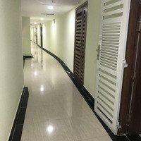 Cho Thuê Cc Dic Phoenix, 6,5 Triệu, 50M2, 1 Phòng Ngủ 1Vs Tại Đường 3/2, Vũng Tàu, Bà Rịa Vũng Tàu