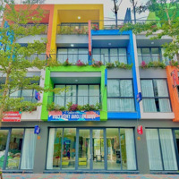 Trực Tiếp Cđt Flamingo Golden Hill Mở Bán Quỹ Căn Khai Thác Dòng Tiền Lên Tới 42 Triệu/Tháng.