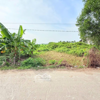 Bán 327M2 Đất Lúa Đường Đan 4 - Giá 280 Triệu