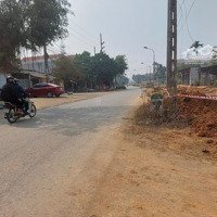 Bán 301M2, Bám Mặt Đường Tỉnh Lộ 413 - Đầu Tư Kinh Doanh Giá Bán 45 Triệu / M2