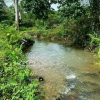 Nhượng Lại Vườn Cây Ăn Trái Có Suối Nước Nhỏ Long Khánh Giá Chỉ 750 Triệu - Ngân Hàng Hỗ Trợ