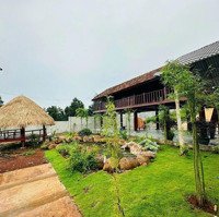 Bán Nhà Vườn View Hồ Tự Nhiên Cự Đẹp Tại Tp.bmt - Đắc Lắc