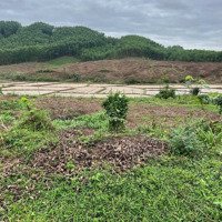 Bán Đất Tách Thửa Hòa Ninh, 1100M2 Có 450M2 Đất Ở.