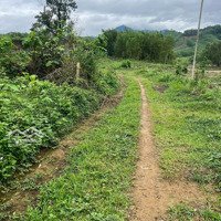 Bán Đất Tách Thửa Hòa Ninh, 1100M2 Có 450M2 Đất Ở.