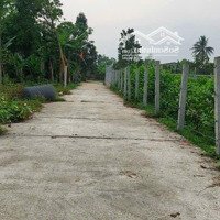 Đất Xây Nhà Vườn 500M2 Có 120M2 Đất Ở Ngang 12M Nở Hậu, Yên Tĩnh Thoáng Mát Mẻ.