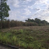 Bán Đất Trong Kcn Bầu Bàng, Bình Dương