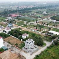 Em bán liền kề 7 mặt trung tâm thương mại cienco5 mê linh. giá rẻ nhất thị trường