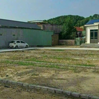 Bán Lô Đất 84Mv Chính Chủ Tại Thôn Tiên Hội Xã An Tiễn
